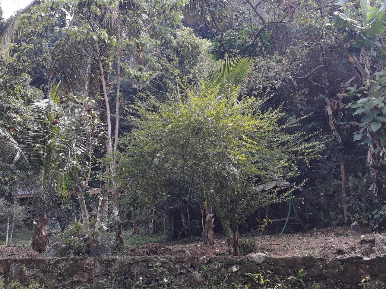 Recanto Da Gipoia Angra dos Reis Exterior photo
